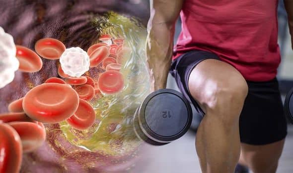 Easy Exercises to Reduce Cholesterol Naturally